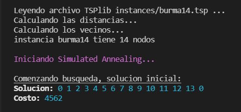 Lectura de instancias Simulated Annealing